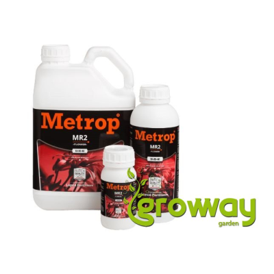 Metrop MR2