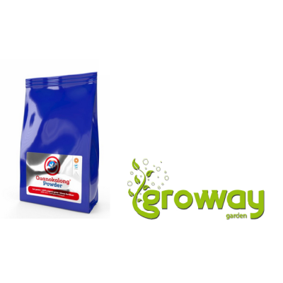 Guanokalong Powder