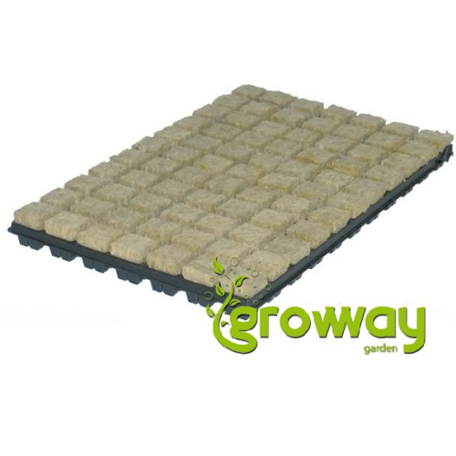 Grodan Sadbovací kostka 36x36x40mm v sadbovači po 77ks