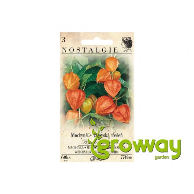 Mochyně - židovská třešeň - 60 semen