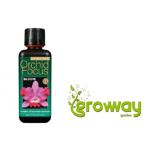 Growth Technology Orchid Focus Bloom