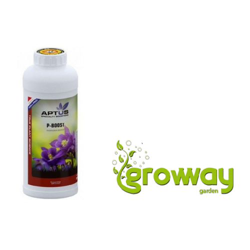 APTUS P-Boost