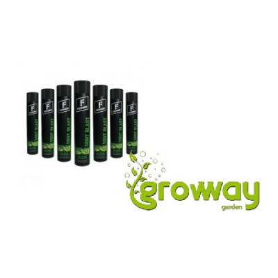 Sprej FRESHHH MINT BLAST 750ml