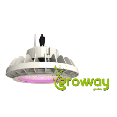 HPLED Secret Jardin 200W