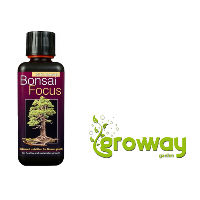 Growth Technology Bonsai Focus