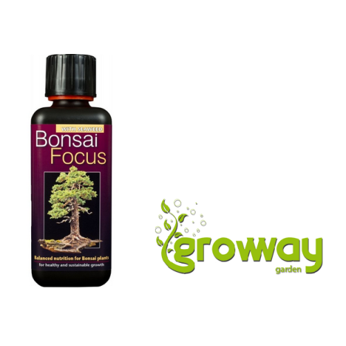 Growth Technology Bonsai Focus