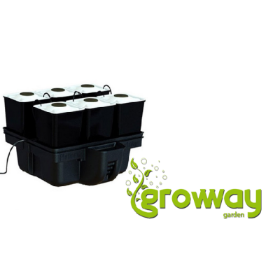 Platinium AeroSTAR 60X60