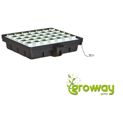 Platinium EBB & FLOW 120