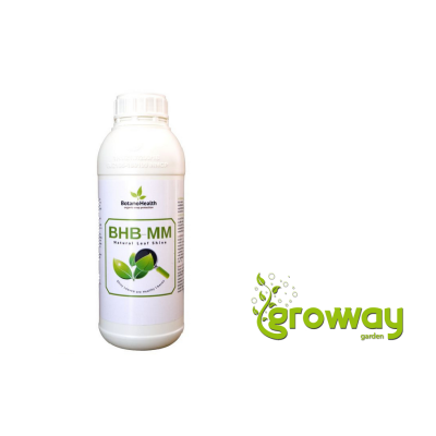 Botano Health BHB-MM Leaves Shiner