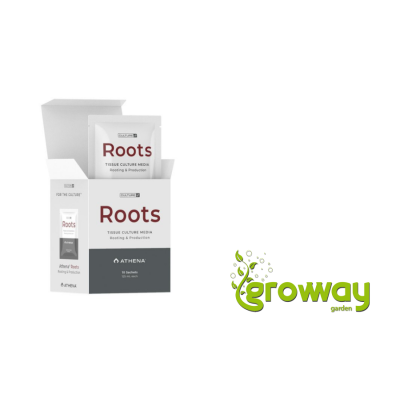 Athena Roots Culture Media