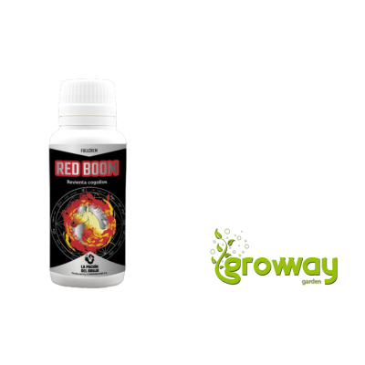 La Poción Del Brujo Red Boom