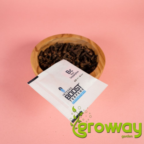 Integra Boost 62% RH Terpene Essentials Beta-Caryophyllene