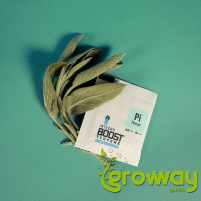 Integra Boost 62% RH Terpene Essentials Pinene
