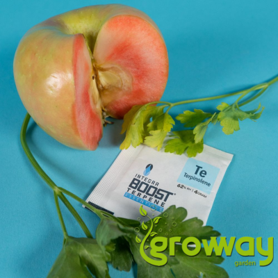 Integra Boost 62% RH Terpene Essentials Terpinolene
