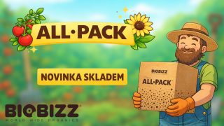 Titulek