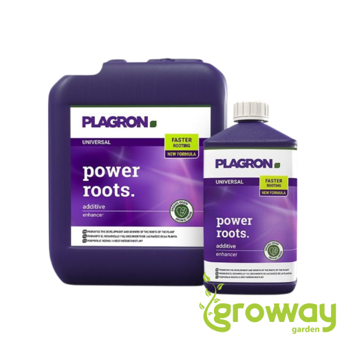 Plagron Power Roots
