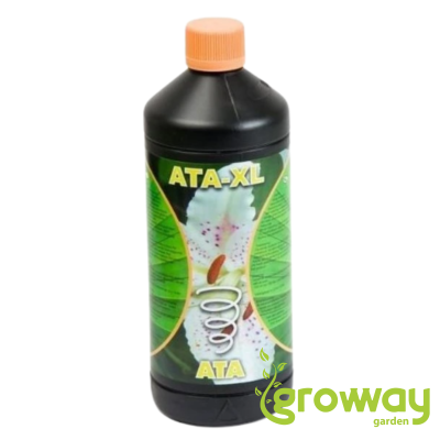 Atami ATA XL