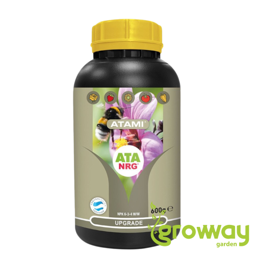 Atami ATA NRG Upgrade 600 g