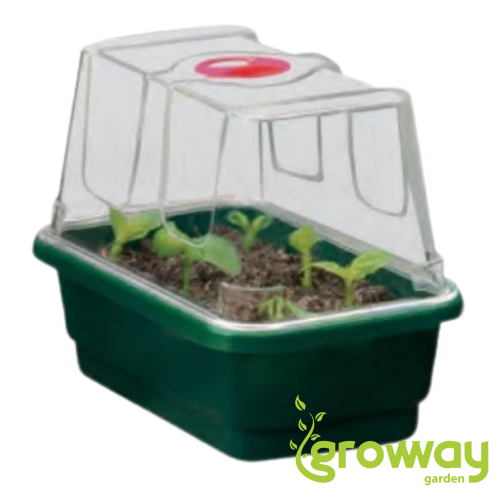 Garland skleník Mini High Dome Propagator Green s drenáží, tvrdý plast, nevyhřívaný, 17x10x12 cm