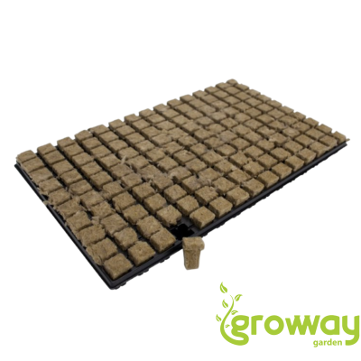 Rockwool - Sadbovací kostka Grodan - 25x25x40 mm včetně sadbovače