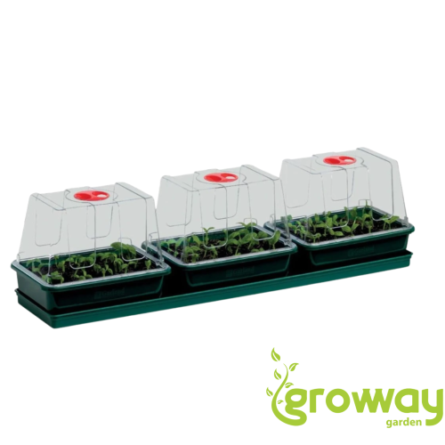 Garland Propagator 3 Top Windowsill, 76x18.5x20.5 cm