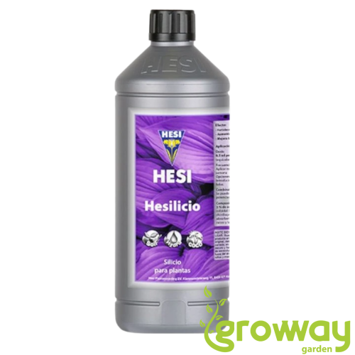 Hesi Hesilicio