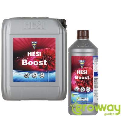 Hesi Boost