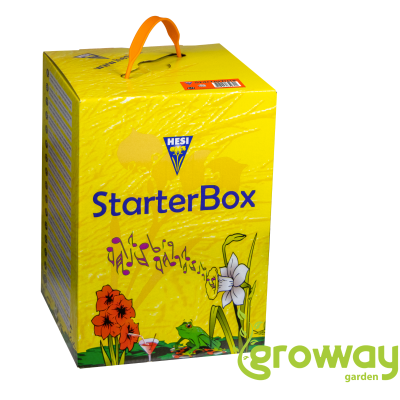 Hesi Start box Coco
